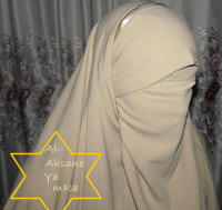 /album/confection-meilleur-pour-la-femm/niqab-et-jilbab-png/